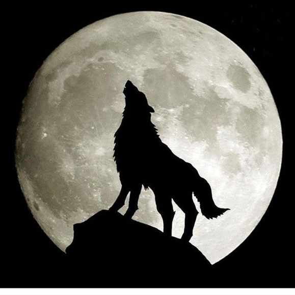 2 Universal fit wolf howling moon wireless universal Car Door Projector battery - Picture 3 of 4